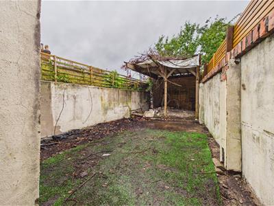 Picture 30